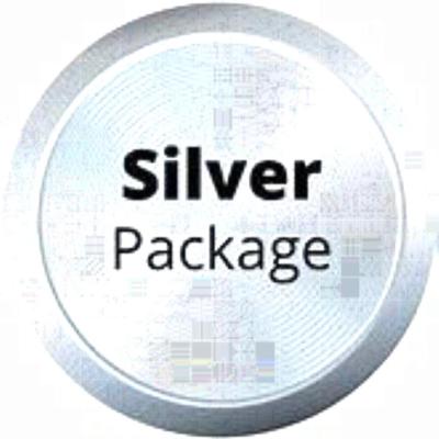 Corporate Sponsorship Package - Silver